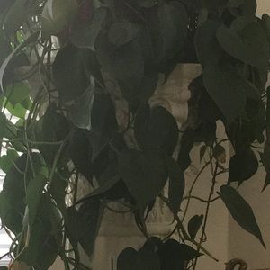 Meet your Posher, Latoria